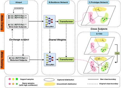 Few-shot EEG sleep staging based on transductive prototype optimization network